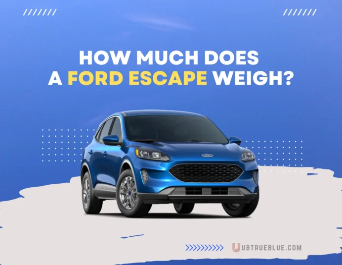 How Much Does a Ford Escape Weigh on UbTrueBlue 