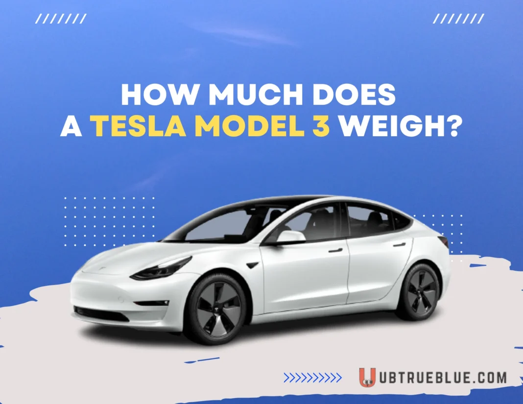How Much Does A Tesla Model 3 Weigh On Ubtrueblue Automotive Weigh? Weight Kg Performance Long Range Vs Regular Car  Large