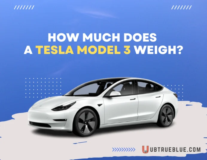 How Much Does A Tesla Model 3 Weigh On Ubtrueblue Automotive Weigh? Weight Kg Performance Long Range Vs Regular Car 