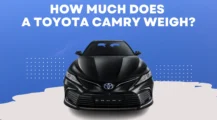 How Much Does a Toyota Camry Weigh on UbTrueBlue Automotive How Much Does a Toyota Camry Weigh? A Must-See for Buyers