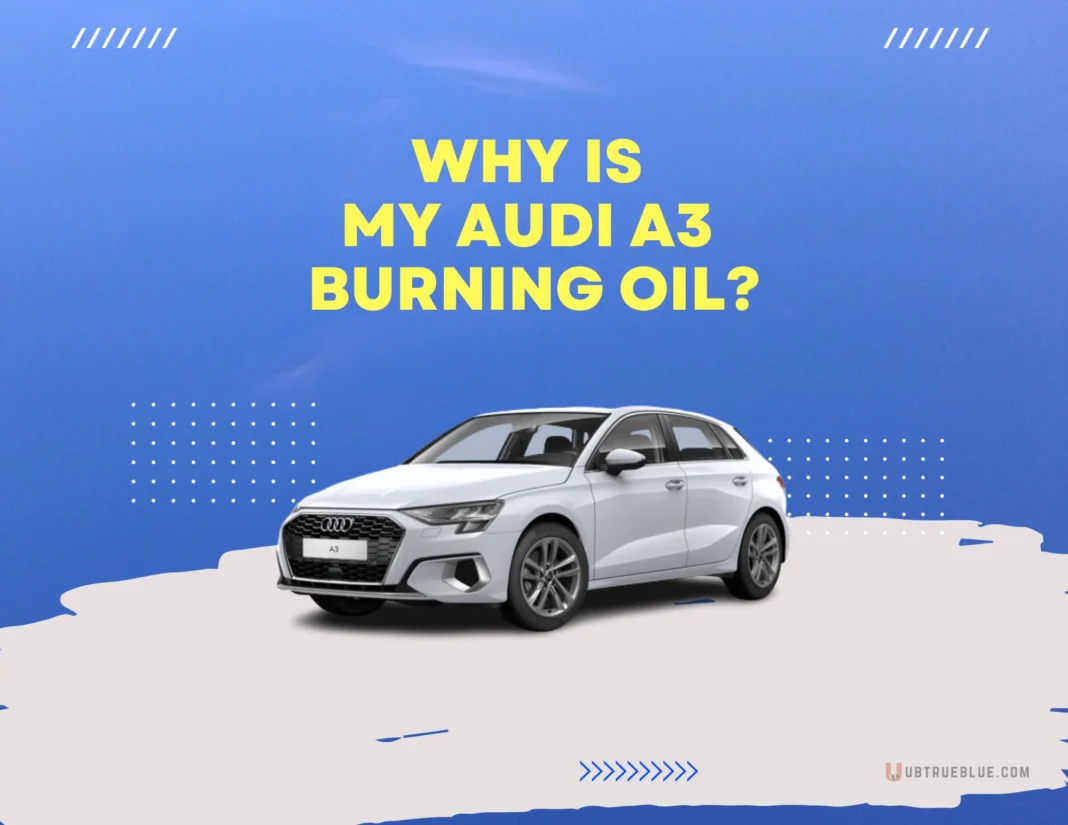 Why Is My Audi A3 Burning Oil Ubtrueblue Automotive Oil? Common Causes And Fixes Tdi Consumption 1.6 Fix 2.0  Large