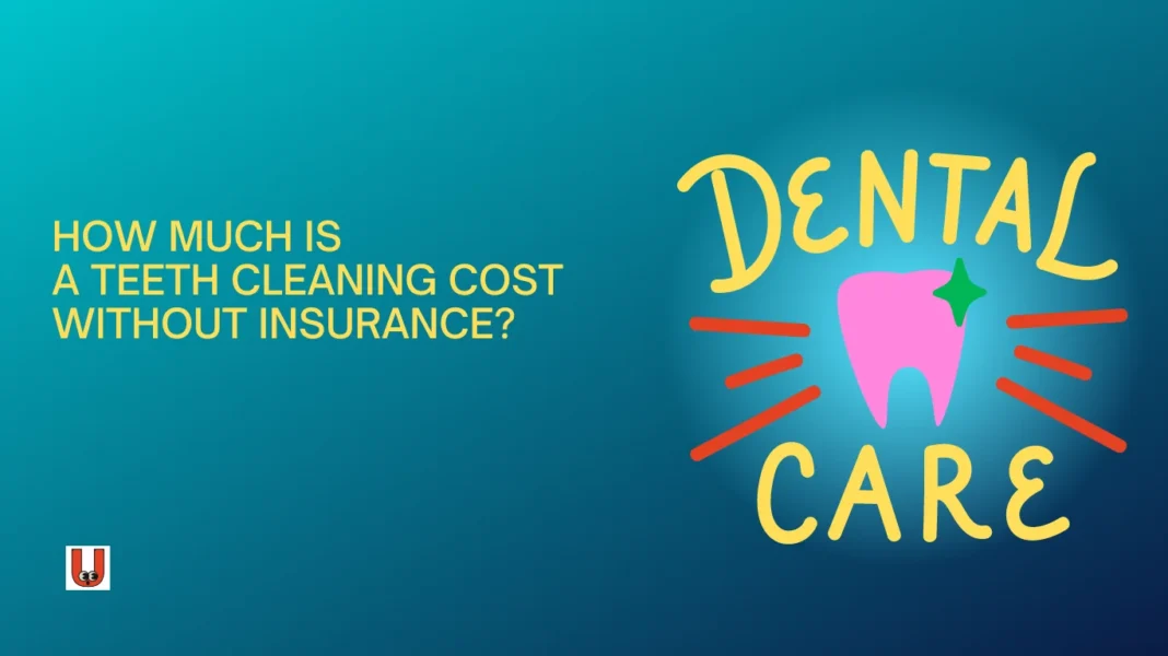 Average Cost Of Teeth Cleaning Without Insurance Ubtruebluecom Finance Insurance: Before Your Next Dental Appointment, Read This Walk In Price X Rays Near Me $99  Large