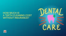 Average Cost of Teeth Cleaning Without Insurance UbTrueBlueCom Finance Cost Of Teeth Cleaning Without Insurance: Before Your Next Dental Appointment, Read This