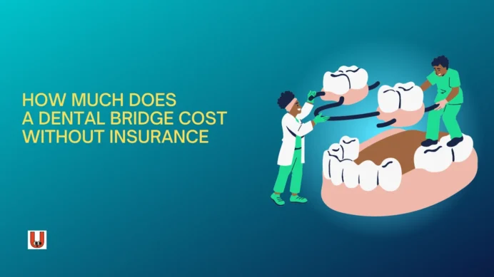 Average Cost of Dental Bridge With and Without Insurance UbTrueBlueCom 