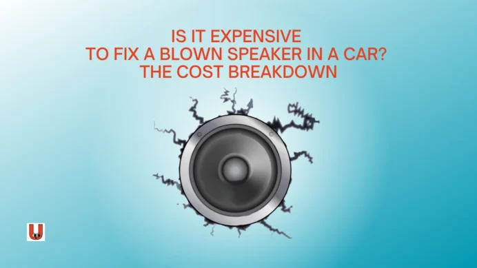Cost To Replace A Blown Speaker Ubtruebluecom Replacement How Much Does It Speaker: Get Your Sound Back Car Audio Repair Near Me Fixed On Bmw 